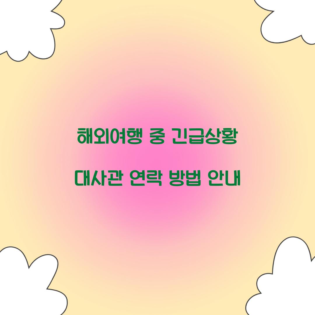 해외여행 대사관 연락