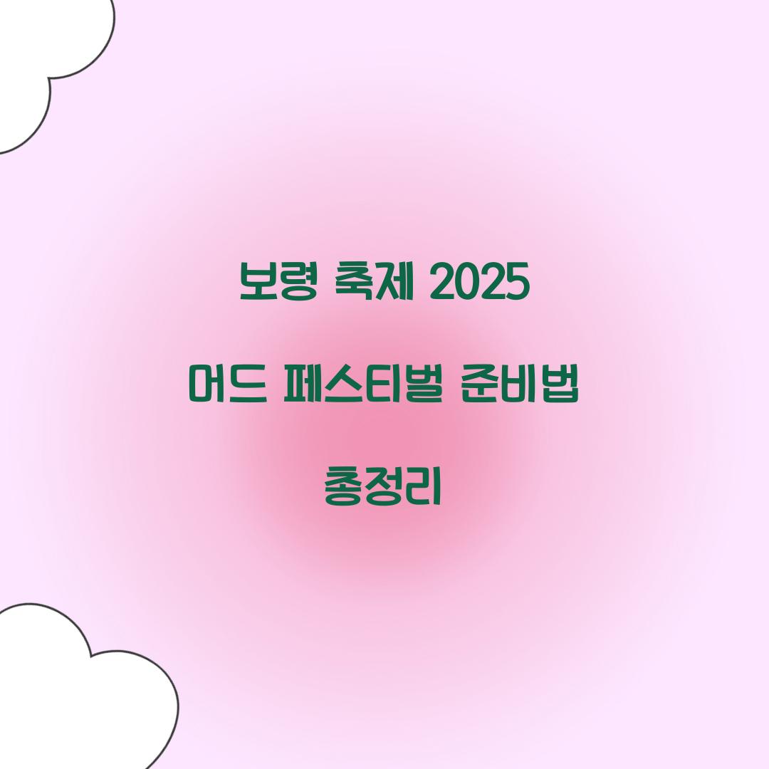 보령 축제 2025 머드 페스티벌