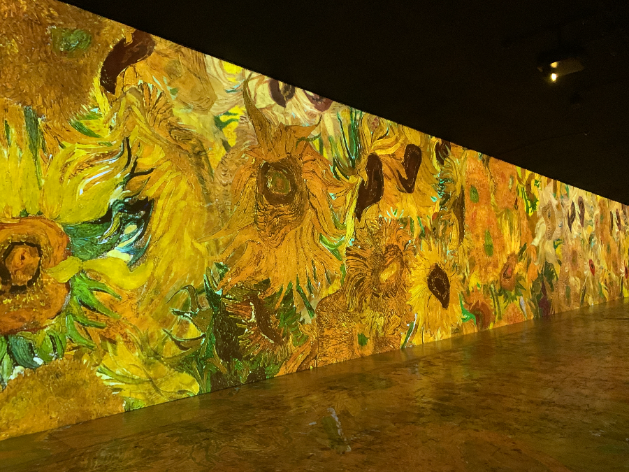 빛의 벙커 고흐 미디어 아트-해바라기
