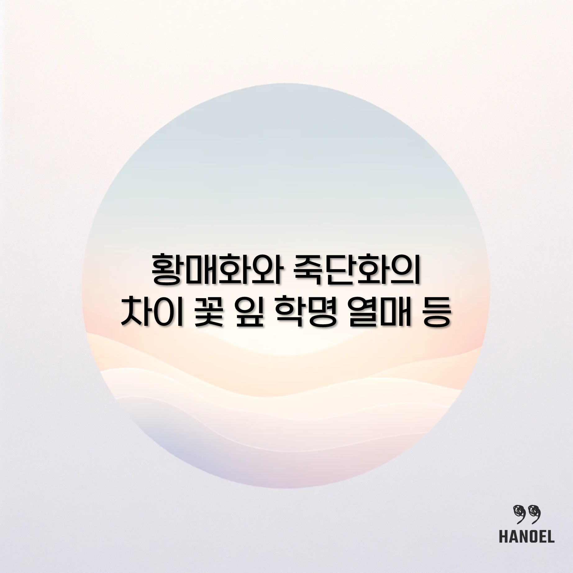 황매화와 죽단화의 차이 꽃 잎 학명 열매 등