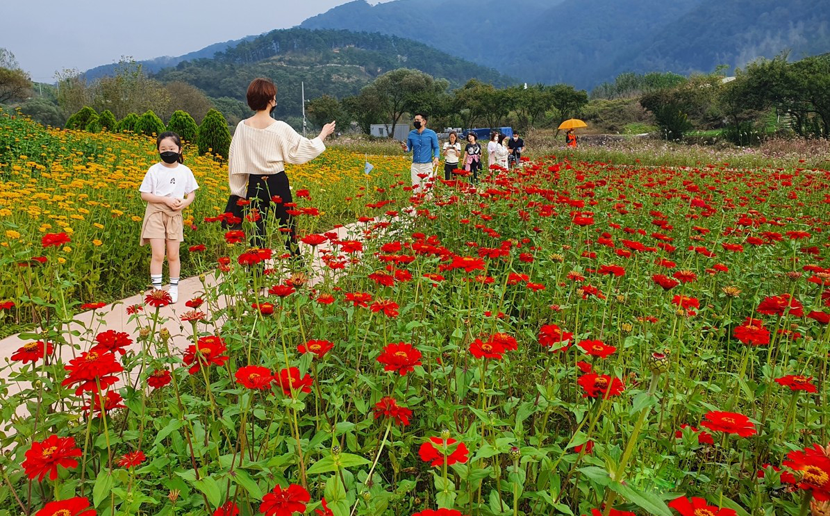 2025 건강도시 스탬프 투어