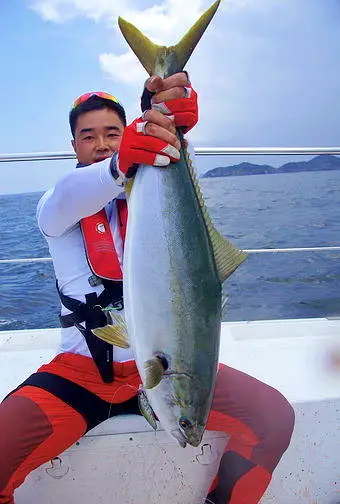 전남 완도 대물을 찾는 사람들 눈부신 푸른빛 대물! 부시리 낚시 선장님 낚시배 맛집 추천