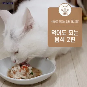 &amp;quot;고양이