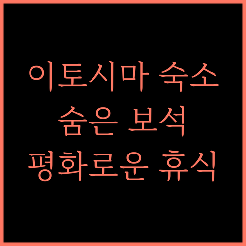 세틀 글로컬 호텔 이토시마 추천 후기