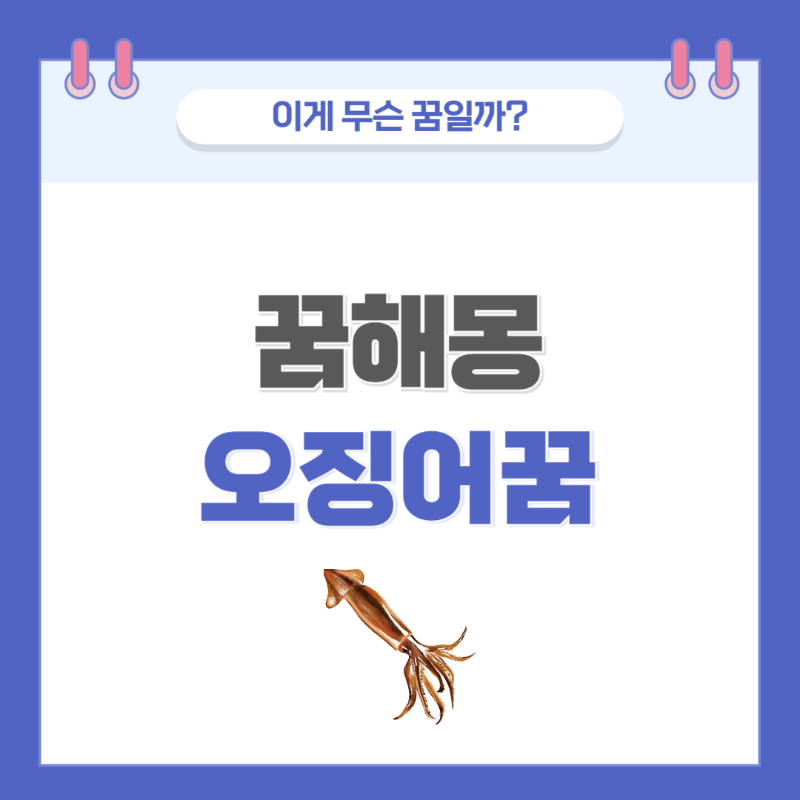 [꿈해몽] 오징어 나오는 꿈 의미와 해석