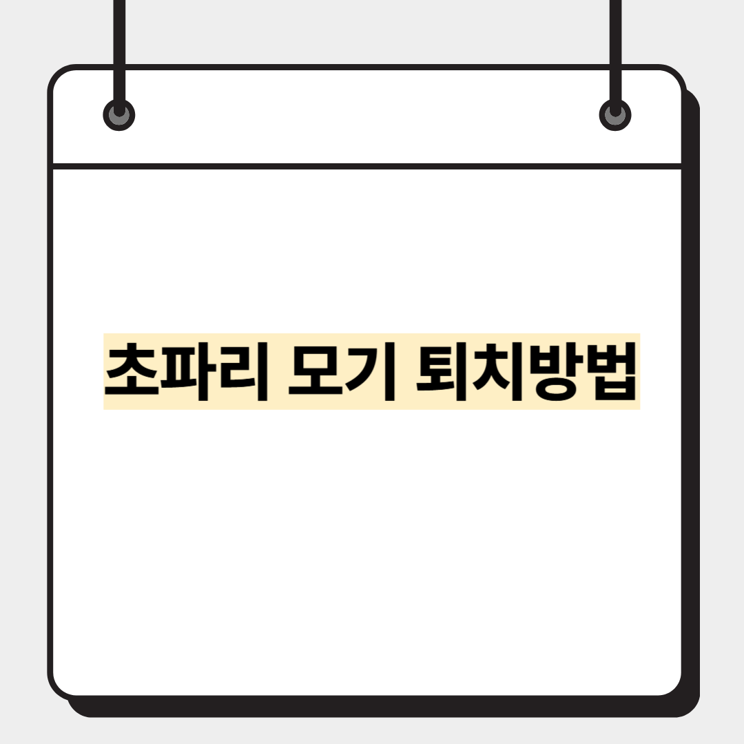 초파리 모기 퇴치방법