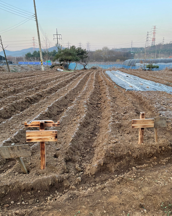 주말농장분양