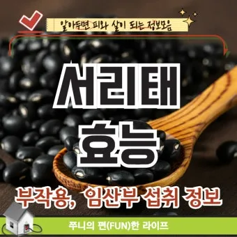 서리태 효능 콩물 만드는방법 수확시기 서리태콩 정보_9