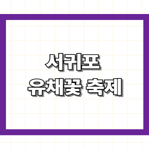 서귀포 유채꽃 축제