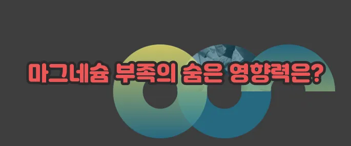 마그네슘 부족현상 자세히 알아볼게요