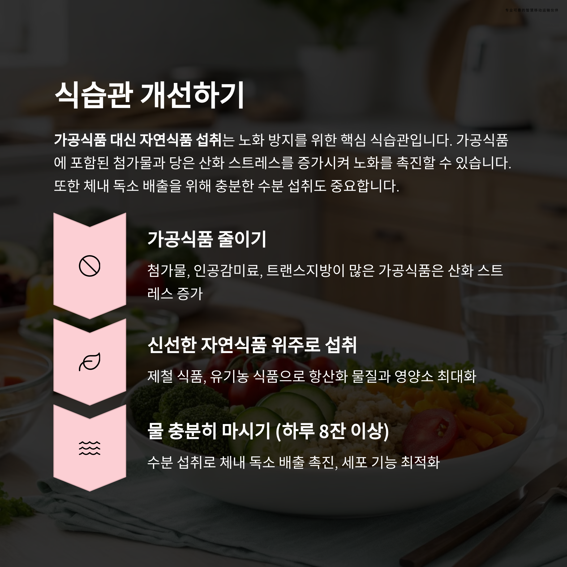 항산화물질21