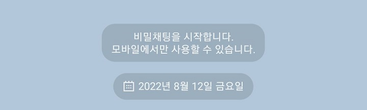 비밀채팅시작한다는 메시지가 보임