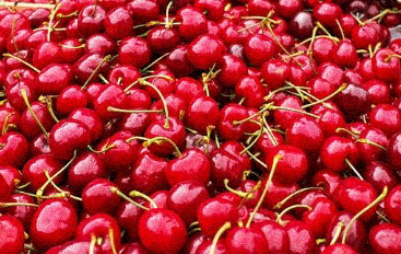 갱년기증상30가지