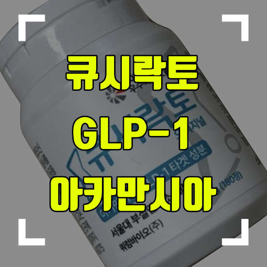 큐시락토 효과 부작용