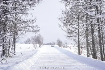 7월 8월 일본 홋카이도 날씨 축제 관광지_8