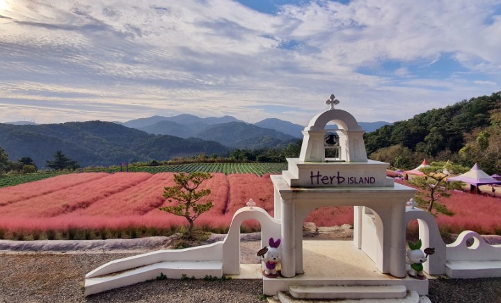 포천 허브 아일랜드