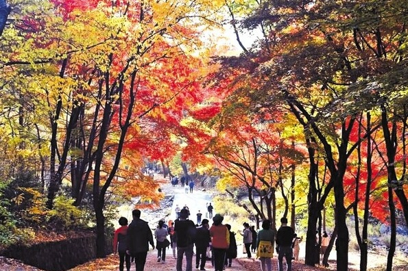 서울대 안양수목원