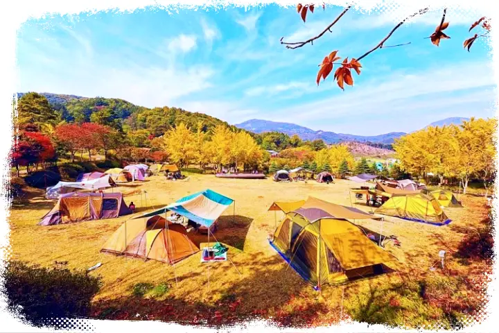 생방송오늘저녁 신박한 네바퀴 여행 경기도 여주 오토캠핑 펜션 캠핑장, 이천 산수유 마을 여행, 캠핑카 업체 정보