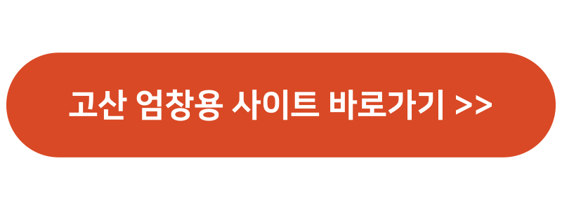 자미두수 무료 명반 프로그램 결혼운 부처궁 칠살 천기