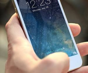 차즈기 추출물 핸드폰 근거리 초점 개선