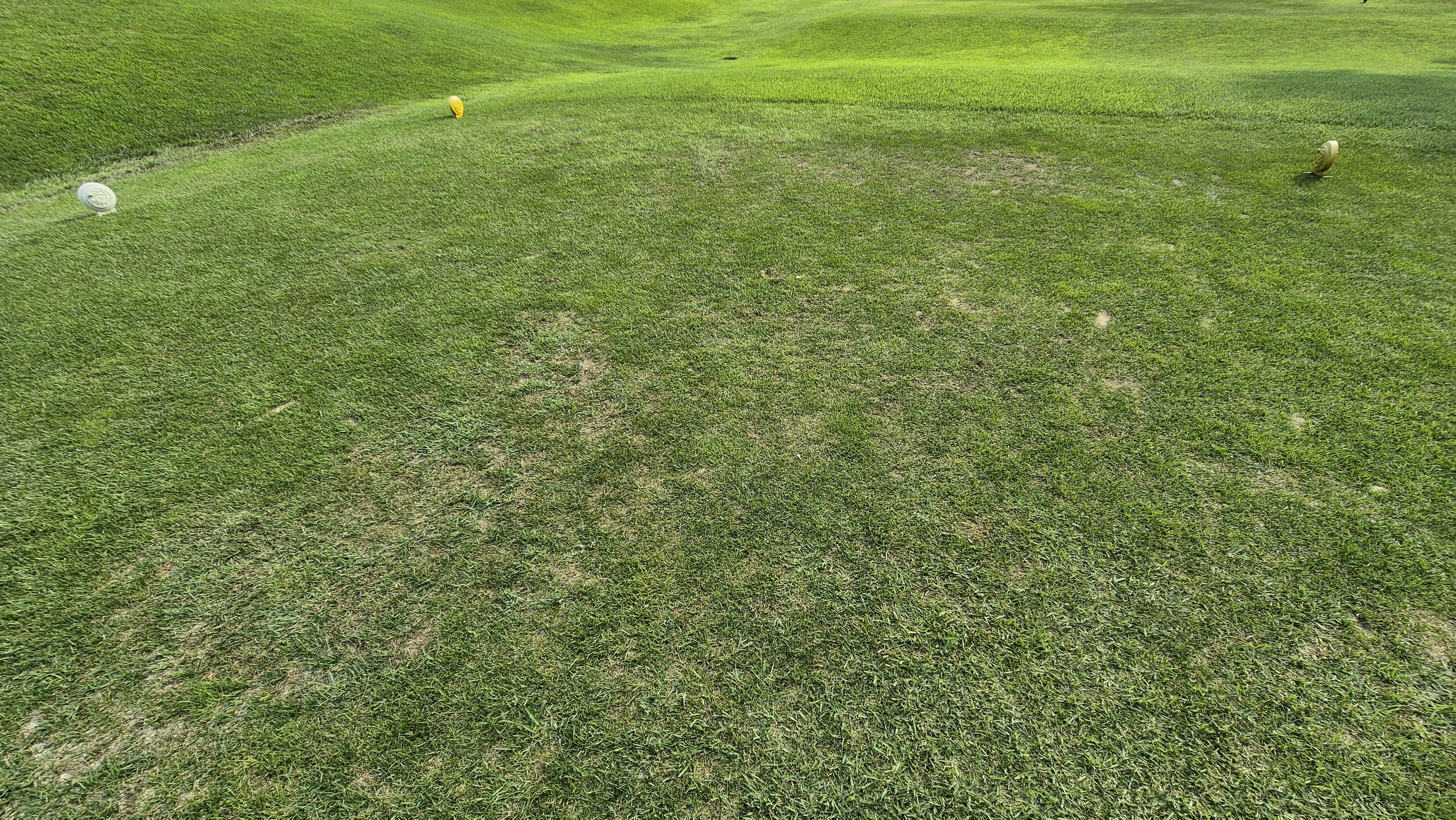 참밸리cc 라운드 후기