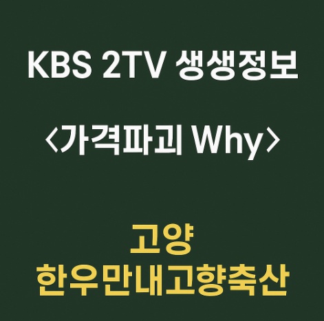 KBS 2TV 생생정보