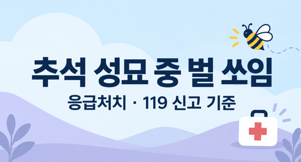 추석 성묘 벌 쏘였을 때 응급처치, 이 증상 보이면 바로 119 부르세요