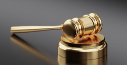 신평 변호사 프로필