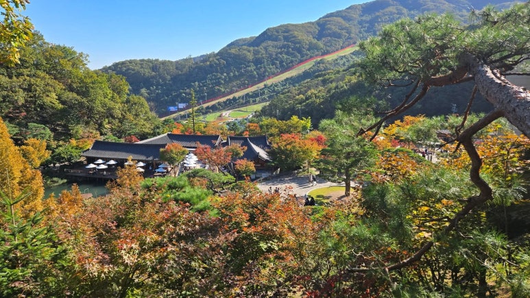 화담숲 단풍시기 예약 단풍명소