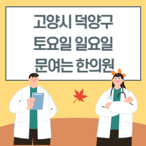 고양시 덕양구 토요일 일요일 한의원 진료 문여는 병원 리스트