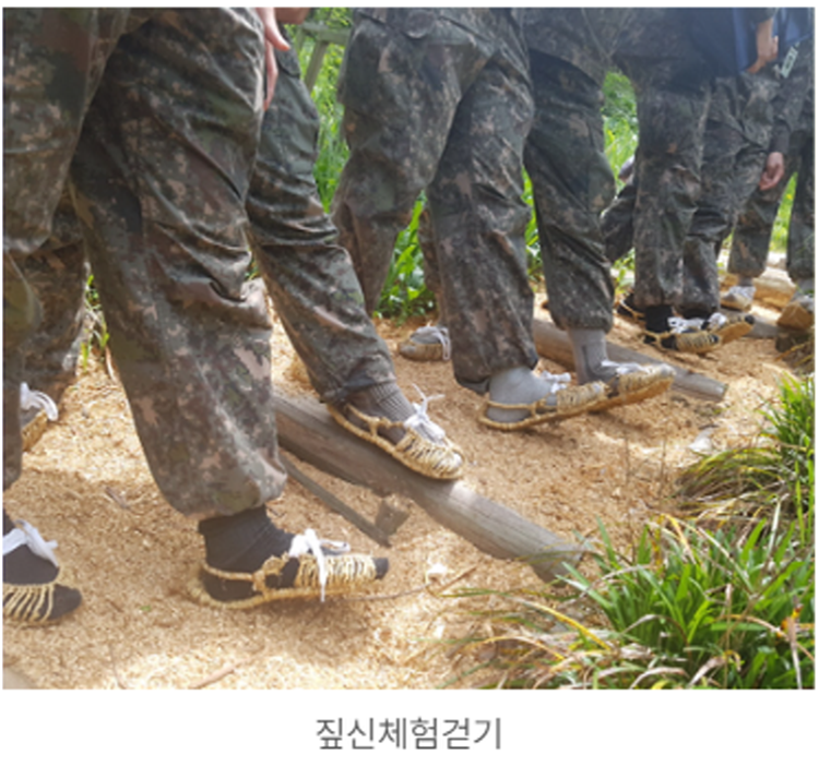 장흥 우드랜드 편백숲