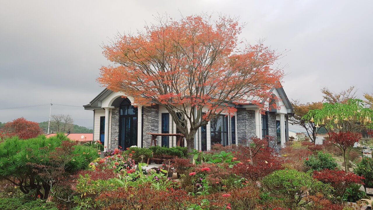 6시 내고향 충남 서산 민간정원 카페 쉼이있는정원