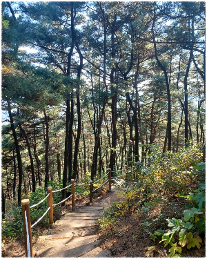 계족산