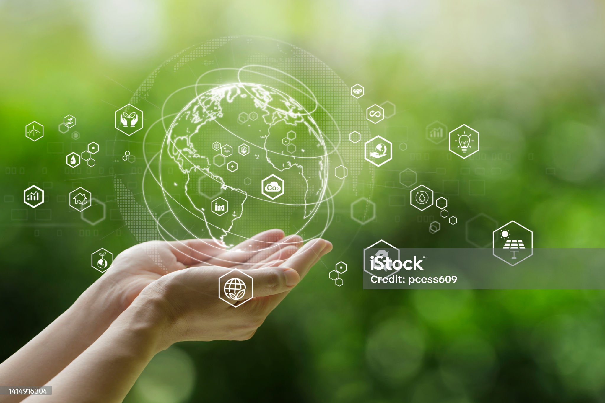 환경 정책 및 법적 틀