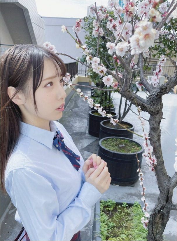 꽃을 바라보는 시라토 하나