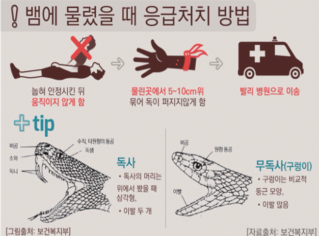 독사에 물렸을때 형태, 응급처방법