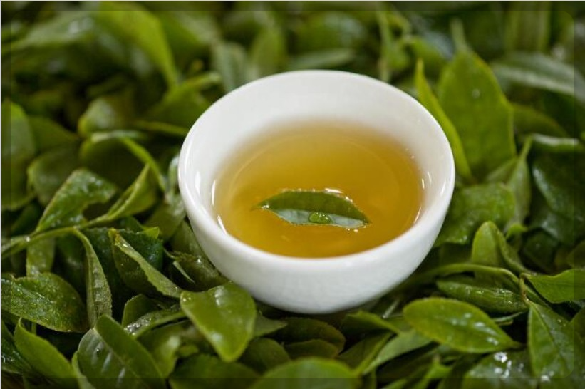 지방간 없애는 방법