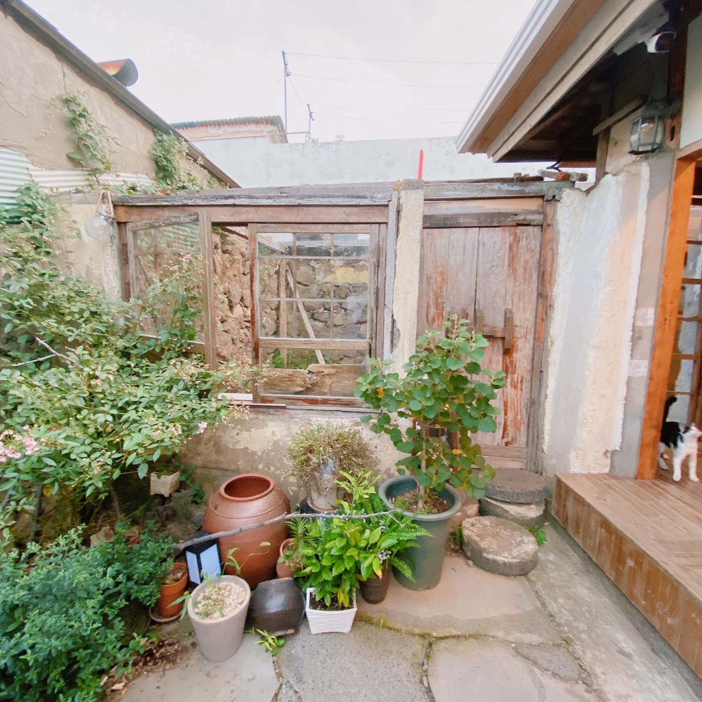 제주 동문시장 주택 구옥개조 북카페 무화과한입