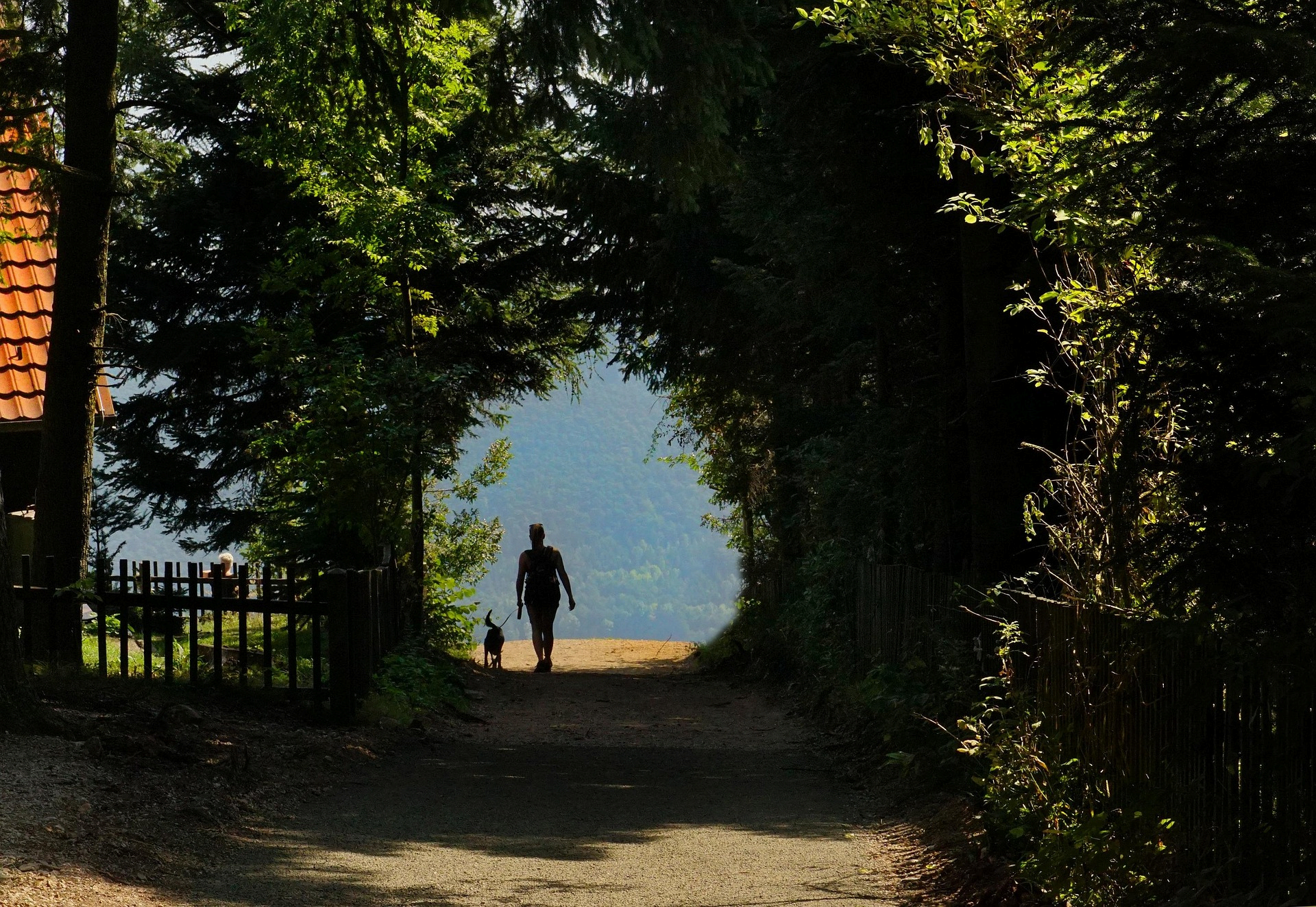 인간과 동물의 역사