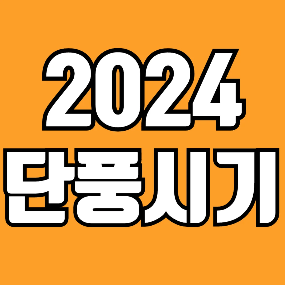 2024-단풍시기-설악산-화담숲-북한산-지리산-한라산-알아보기-썸네일