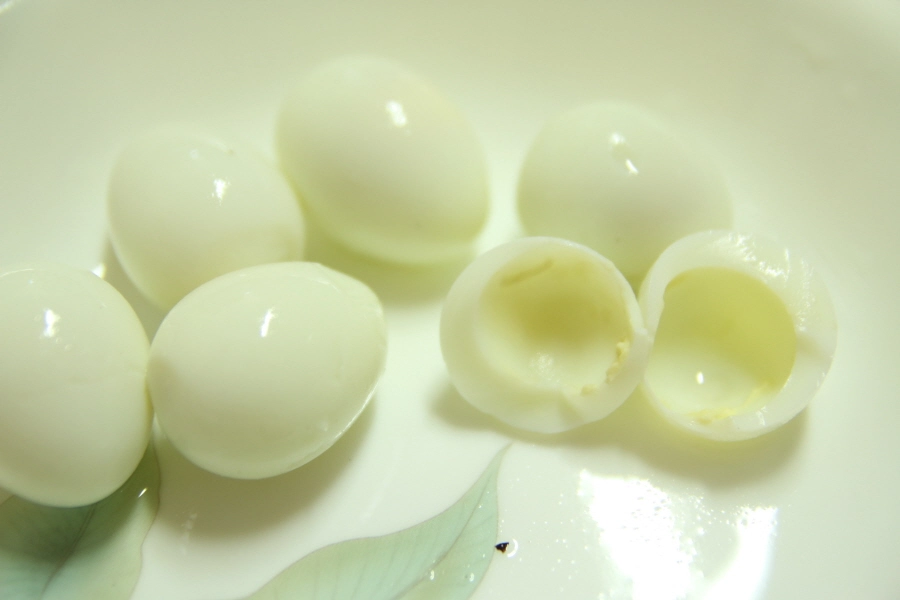 메추리알 까는 모습