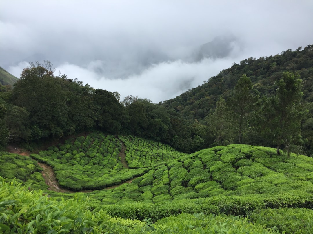 Farm land
