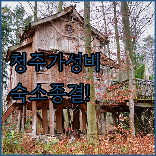 청주 여행 가성비 숙소 추천 리스트와..