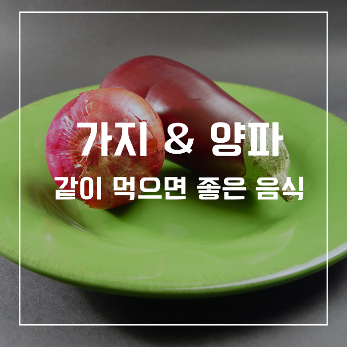 가지와 양파