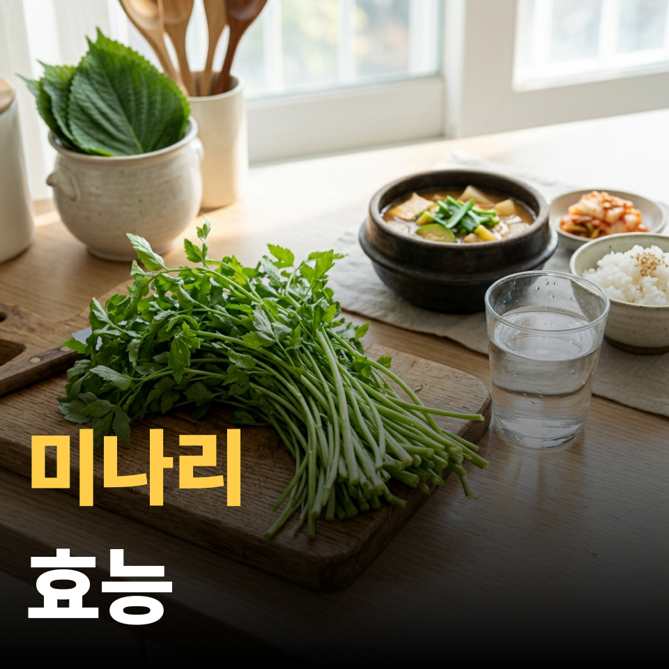 미나리 효능