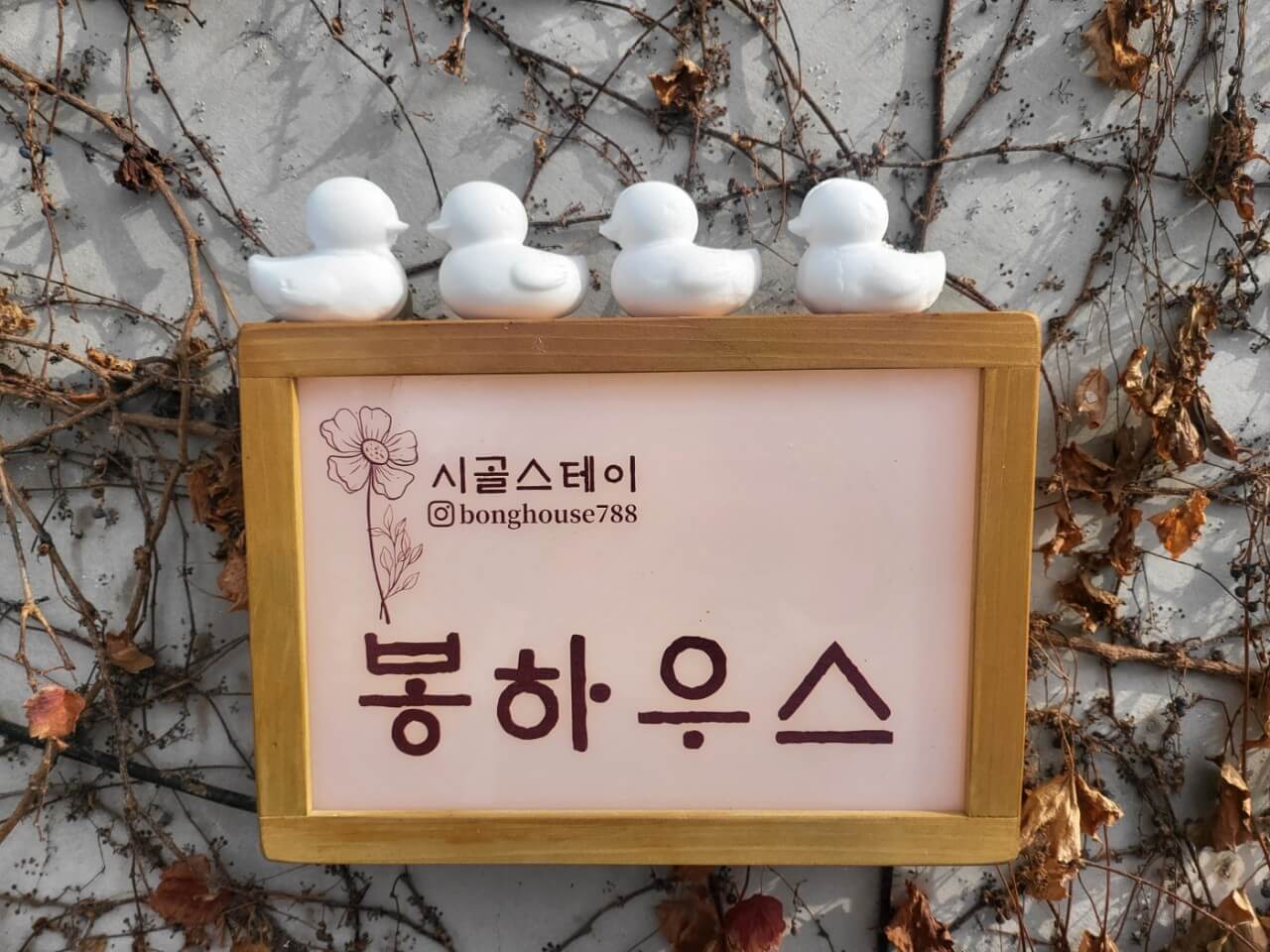 오늘N 나의 귀촌 일기 전남 나주 한옥 독채 숙소 촌캉스 봉하우스