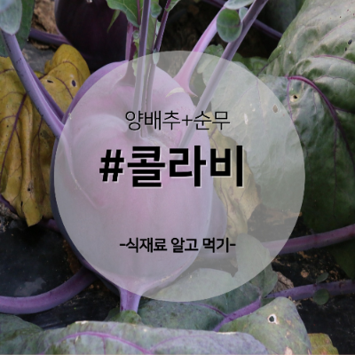 콜라비