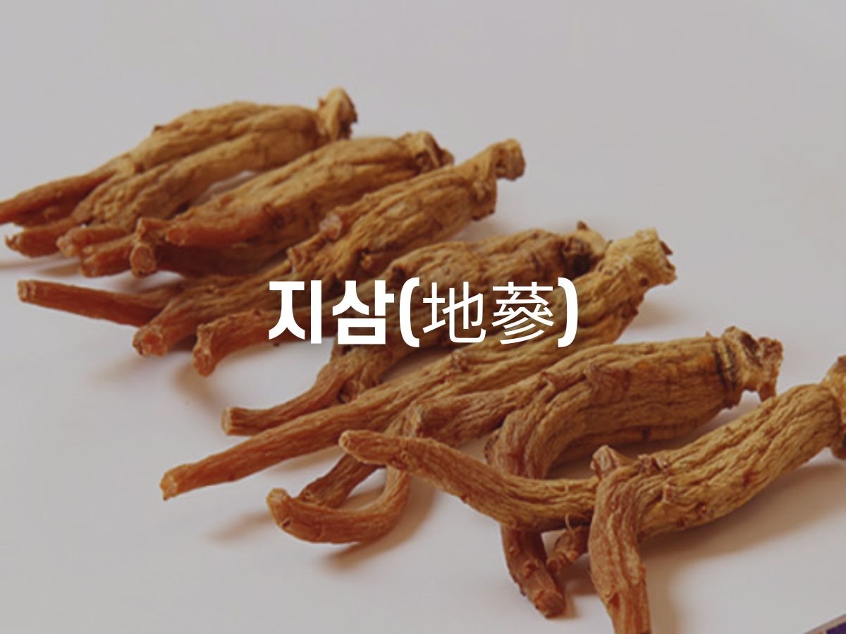 지삼