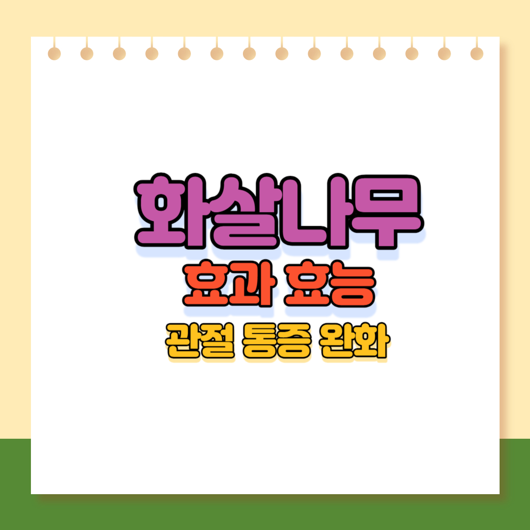 화살나무 이미지