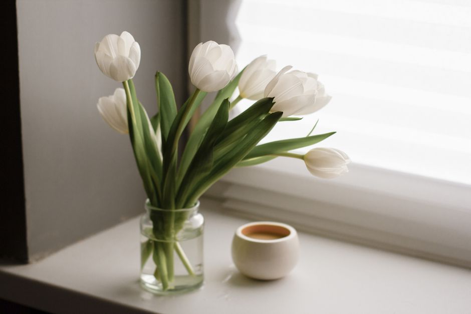Bouquet of blooming white tulips in glass jar placed near window with mug of coffee with milk in light room at home